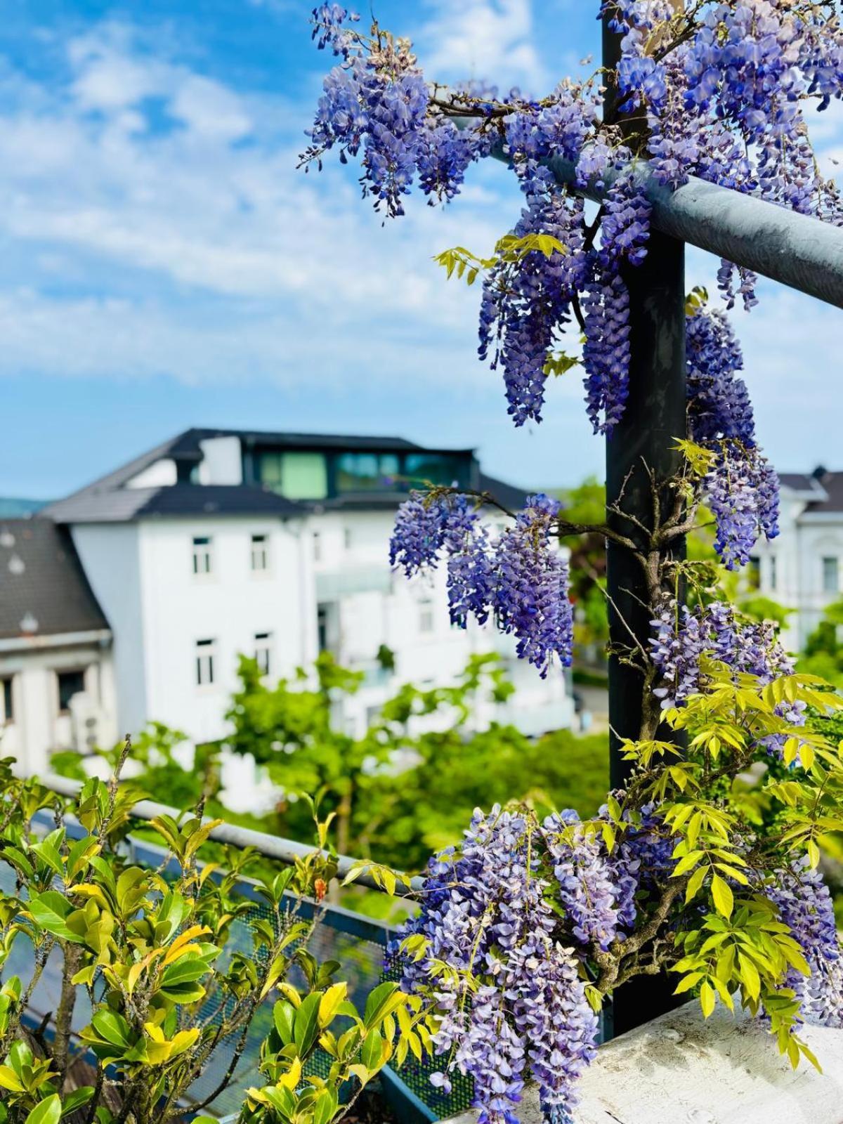 Pension Am Sueltebrunnen Бад-Эйнхаузен Экстерьер фото